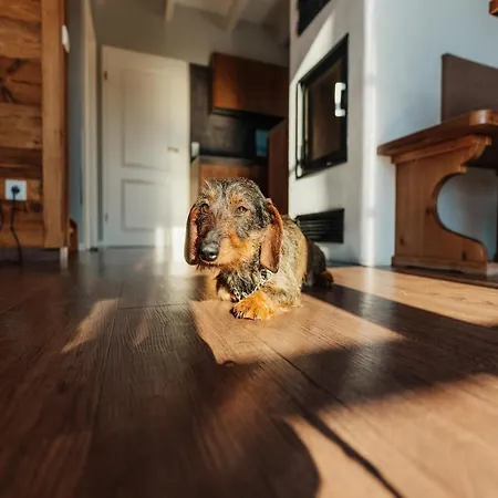 In For 7 Personen Holiday home Schierke