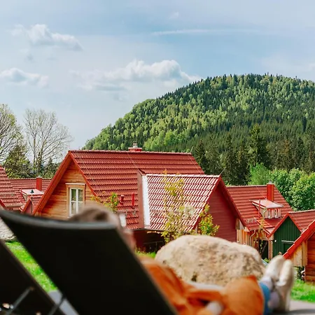 بيت للعطل Ferienhaeuser Im Harzresort, *