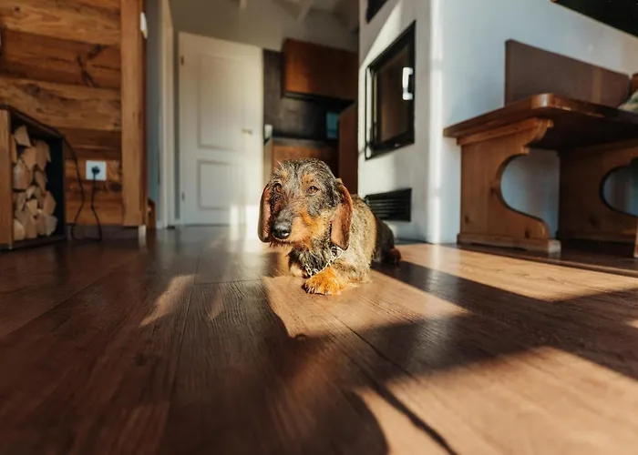 In For 7 Personen Semesterbostad Schierke